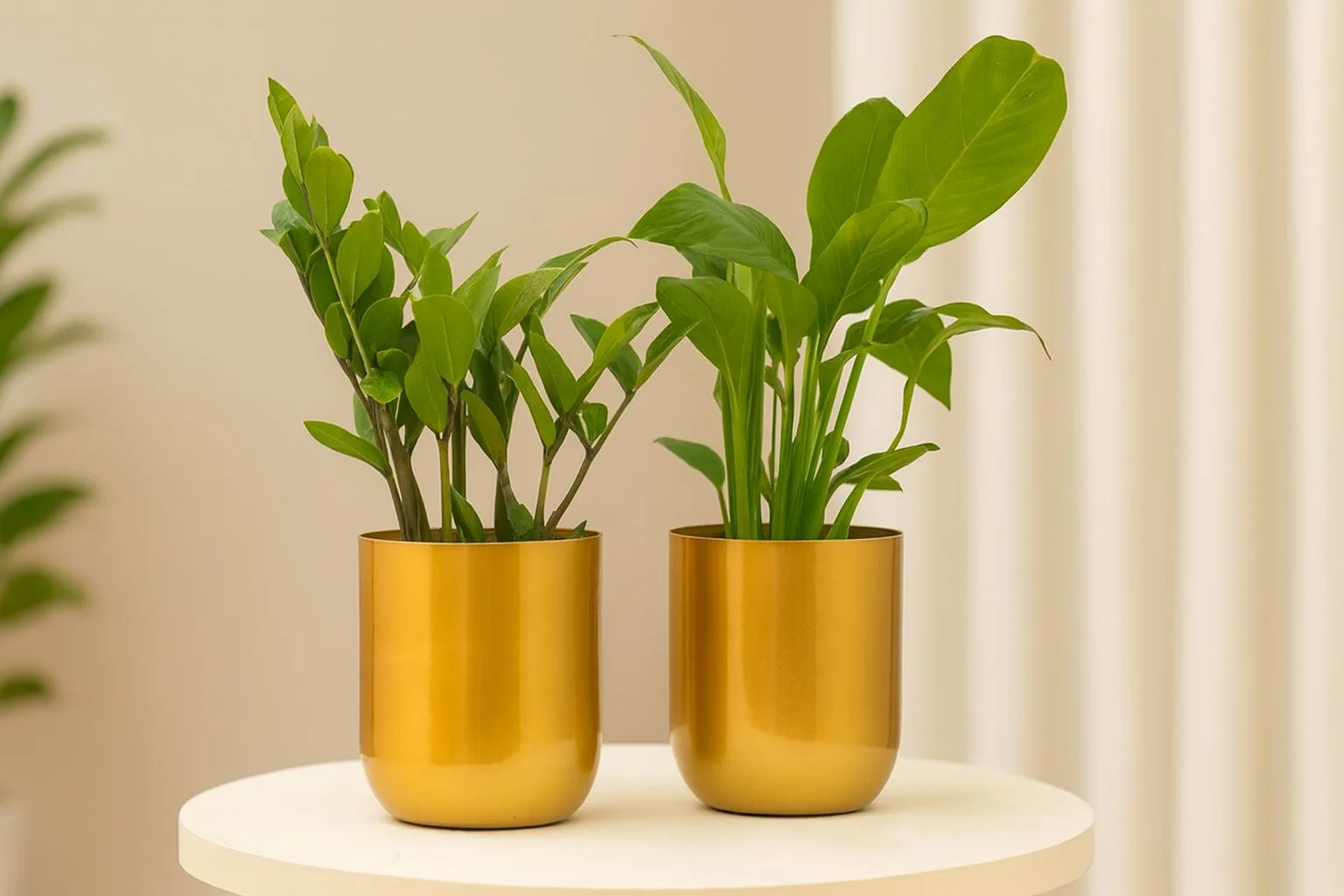 Two metallic miniature gold planters with lush green indoor plants on a white tabletop – Urban Plant